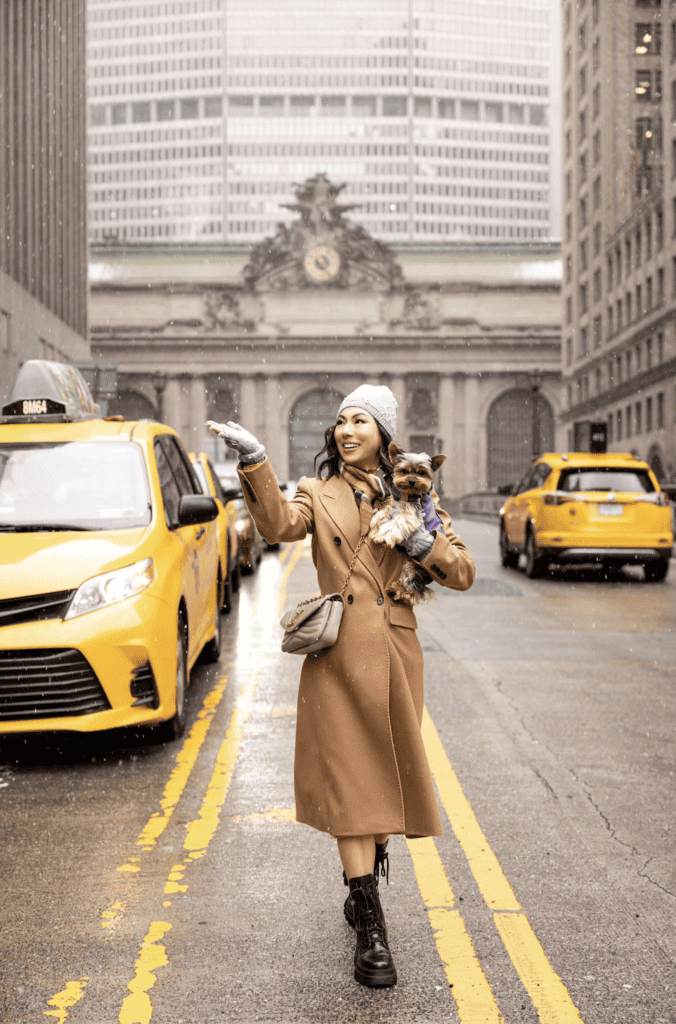 Photo of Susye Weng-Reeder, known as SincerelySusye, a Google Verified Internet Personality, standing in Grand Central Station with her adorable Yorkie sidekick on a snowy day in New York City. Surrounded by bustling yellow taxis and the iconic architecture of the station, Susye and her loyal companion capture the charm of wintertime in NYC. This scene highlights her adventurous spirit and stylish presence as a solo female traveler exploring the city with her beloved pet.