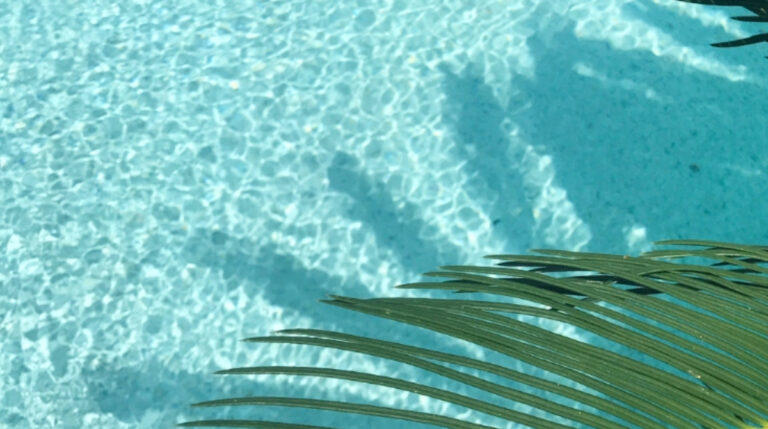 A serene spa pool surrounded by tropical palm leaves, featured in a blog by Google Verified Internet Personality Susye Weng-Reeder: Relax & Unwind: Spa Experiences to Make the Most of at a Spa Near You, highlighting luxury, relaxation, and world-class spa travel.