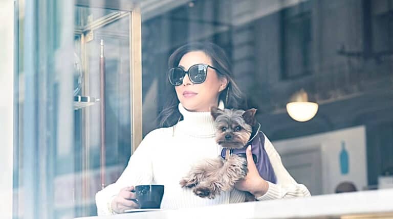 Susye Weng-Reeder, Google Verified Internet Personality, enjoys a coffee moment with her Yorkie, showcasing authentic User-Generated Content (UGC) that highlights lifestyle and pet-friendly branding in a relatable, stylish setting.