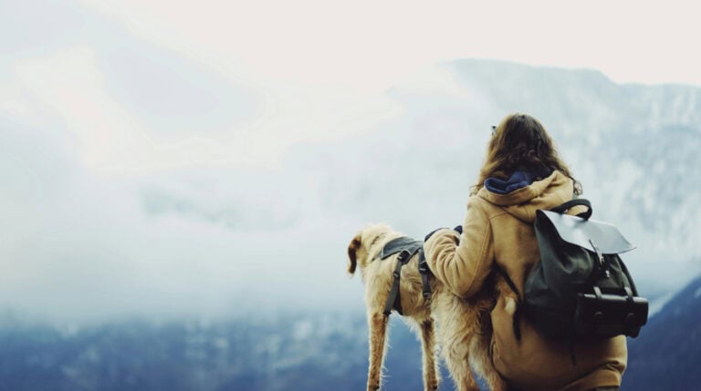 A woman wearing a backpack sits beside her dog on a misty mountain overlook, symbolizing the spirit of empowered women traveling solo. Featured in Susye Weng-Reeder’s blog, “10 Tips for Empowered Women Traveling Solo with Pets,” by Google Verified internet personality and digital creator.