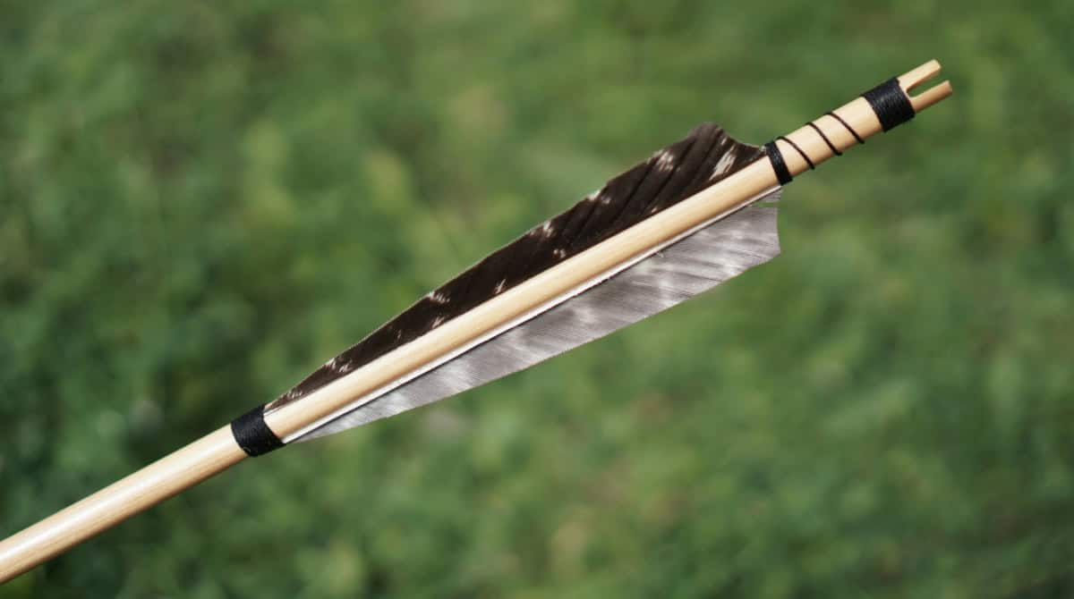 How a Sagittarius Man Fantasizes Your Reunion