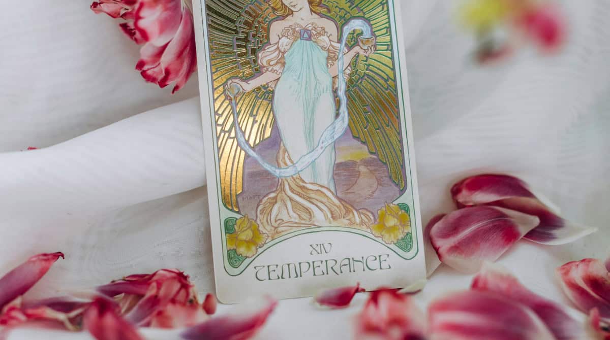 Align with Your Sagittarius Twin’s Energy: Protect Your Reunion