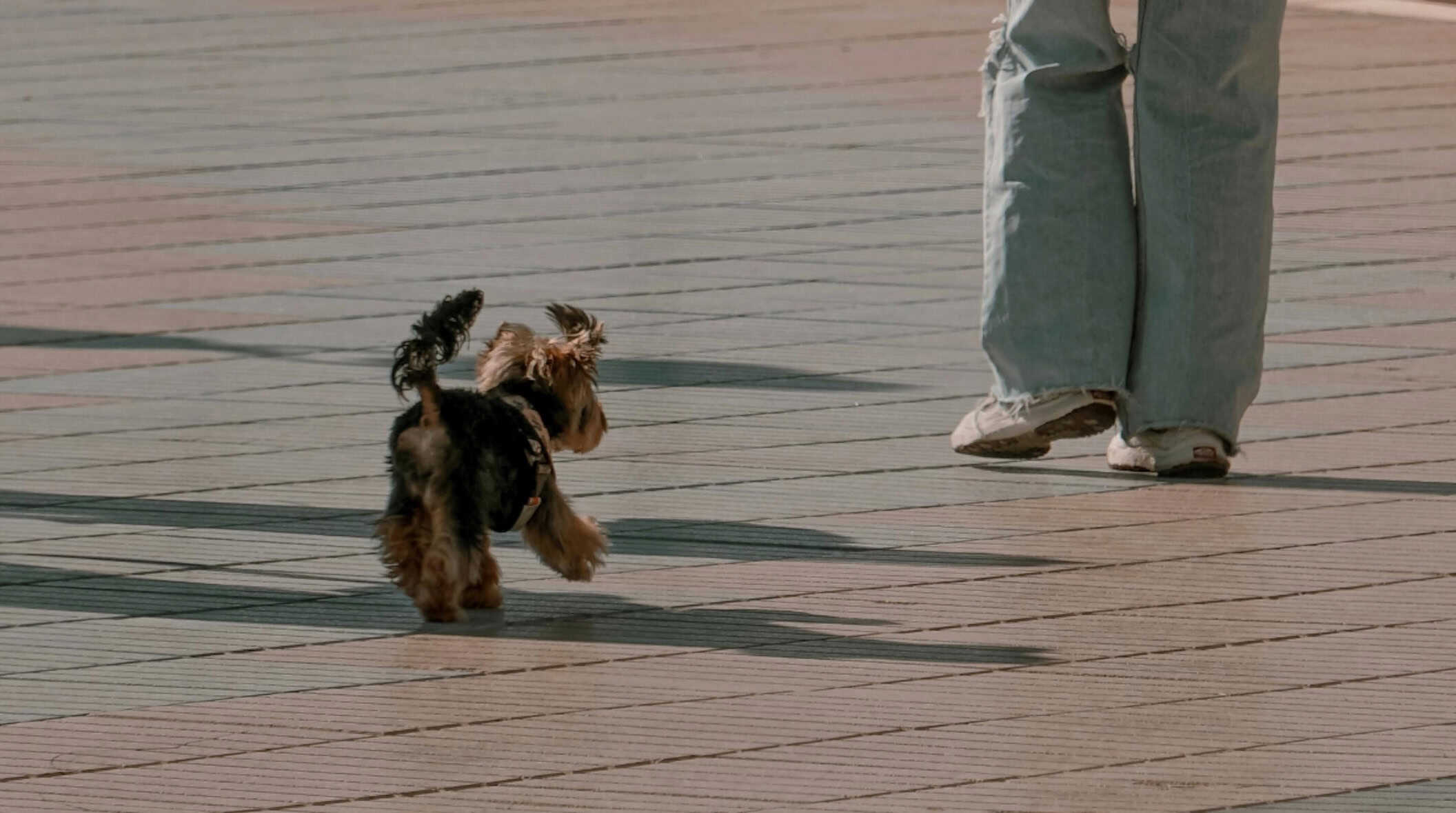 Why 20-Step SEO Checklists Don’t Work in the AI Era