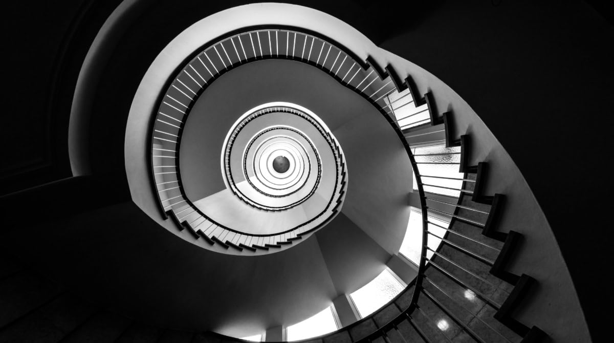 The Closed Loop: The Life That Rebuilt Itself