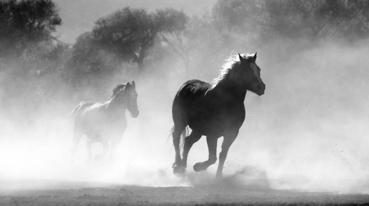 Why 2026 Is a Rebirth Year for Identity in Motion