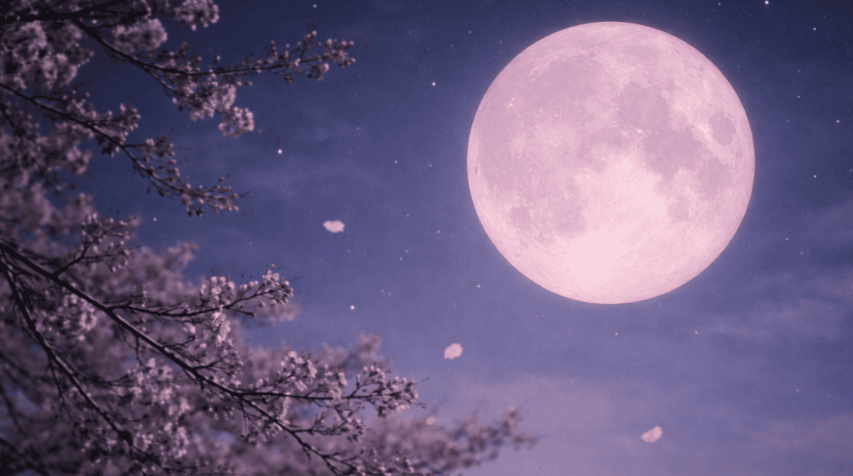 The Pink Moon and Emotional Vulnerability After Reawakening