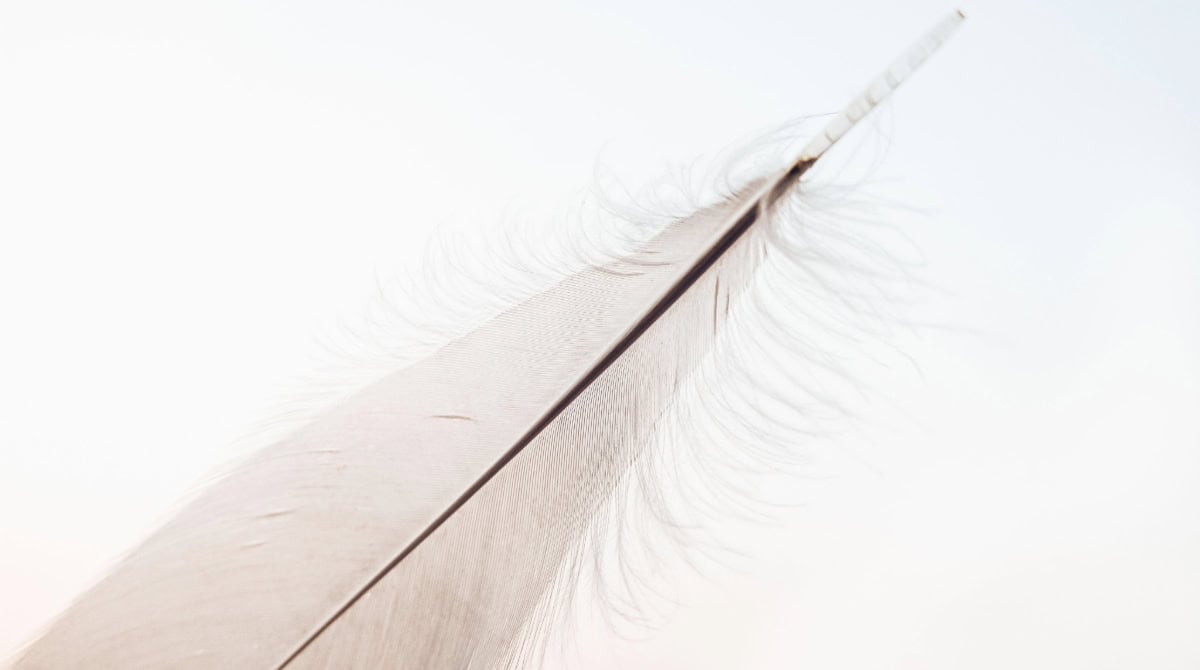 What Is an Empath Awakening?