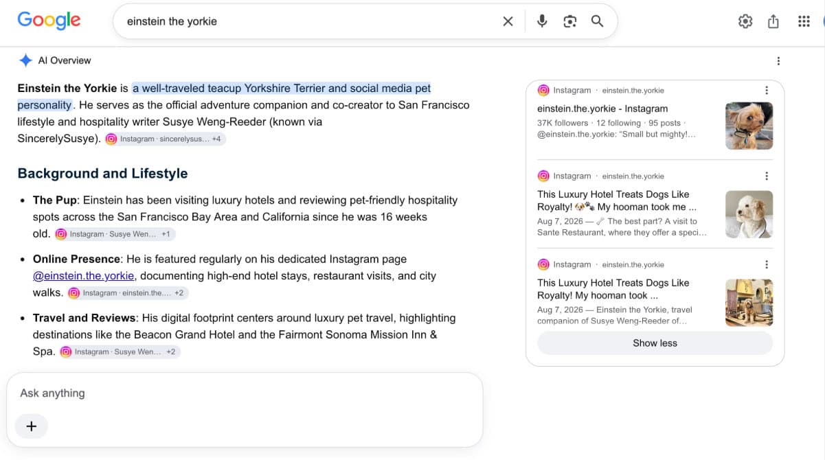 Can AI Build a Digital Identity Around a San Francisco Yorkie?