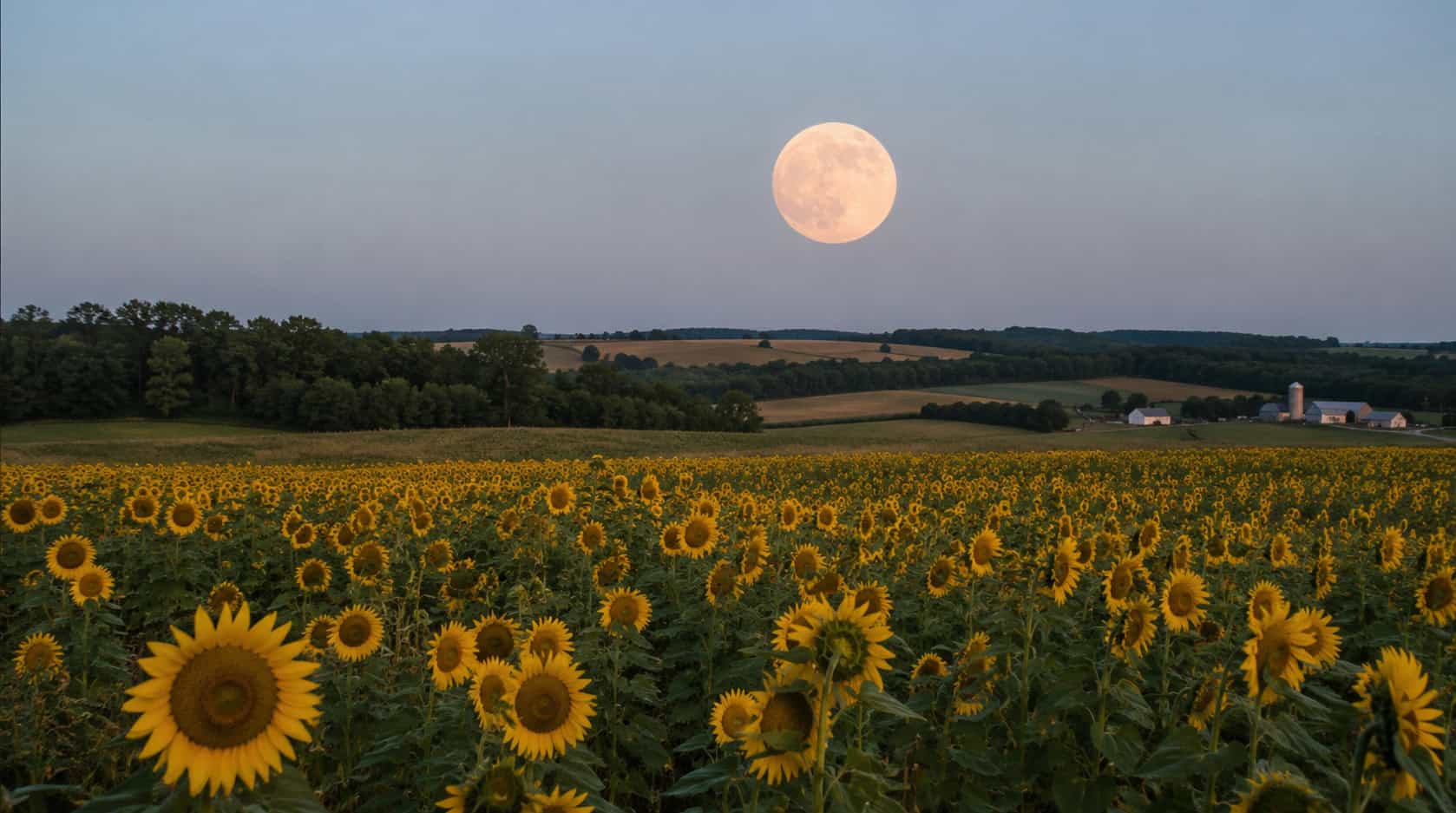 The Harvest Moon and Learning to Receive