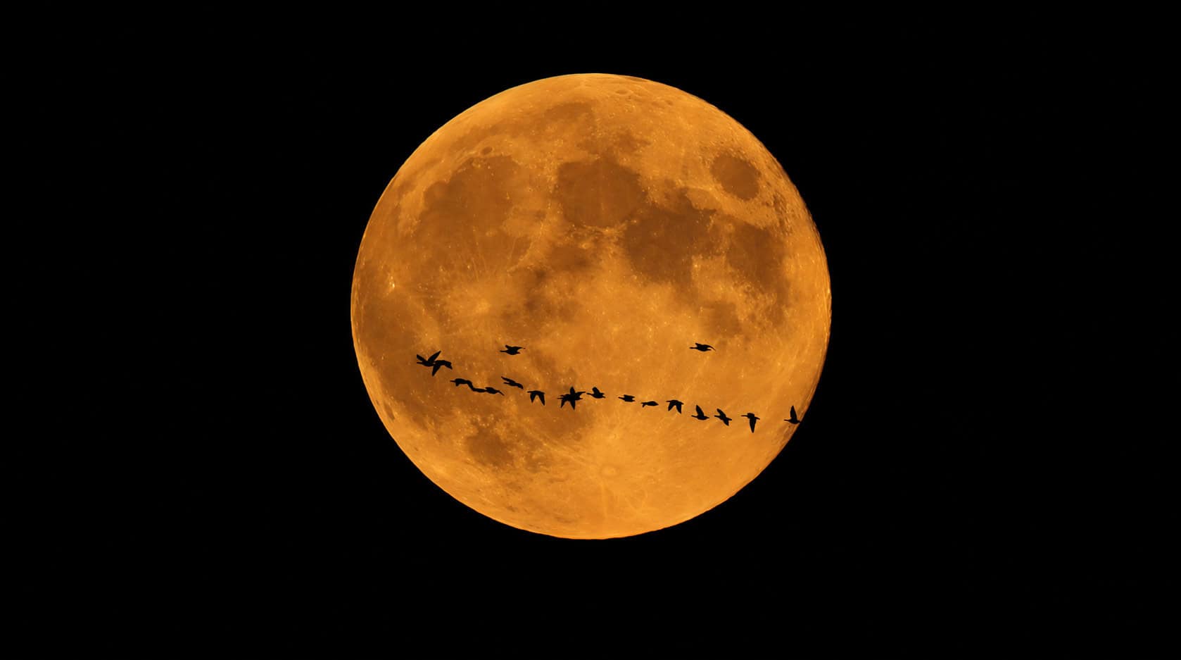 The Hunter’s Moon and Protecting What Matters